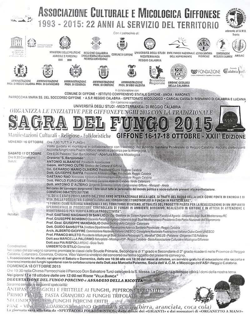 Manifesto Sagra del Fungo Giffone 2015 